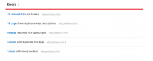 seo audit error