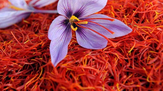 مطبخ الدستور – من التوابل الشائعة في المطبخ الشرقي.. تحسن المزاج والصحة الجنسية – الأخبار جديدنا