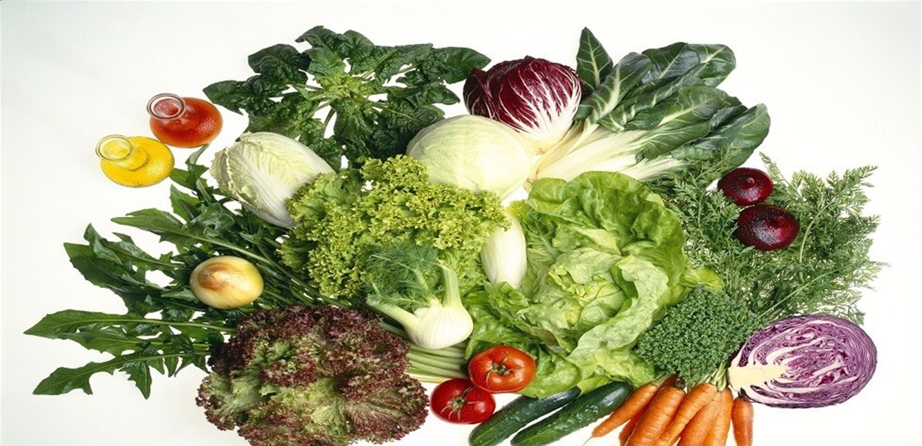 طب وصحة – كيف تؤثر الخضروات المرة على صحة الجهاز الهضمي؟ – الأخبار جديدنا – أخبارنا