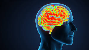 طب وصحة – عقار شعبي للصرع “يحارب” مرض الزهايمر قبل ظهور الأعراض – الأخبار جديدنا – أخبارنا